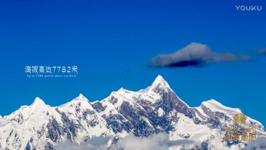 动物帮帮忙保卫家园